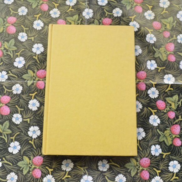 Kite Making and Flying - Picture 2 of 4